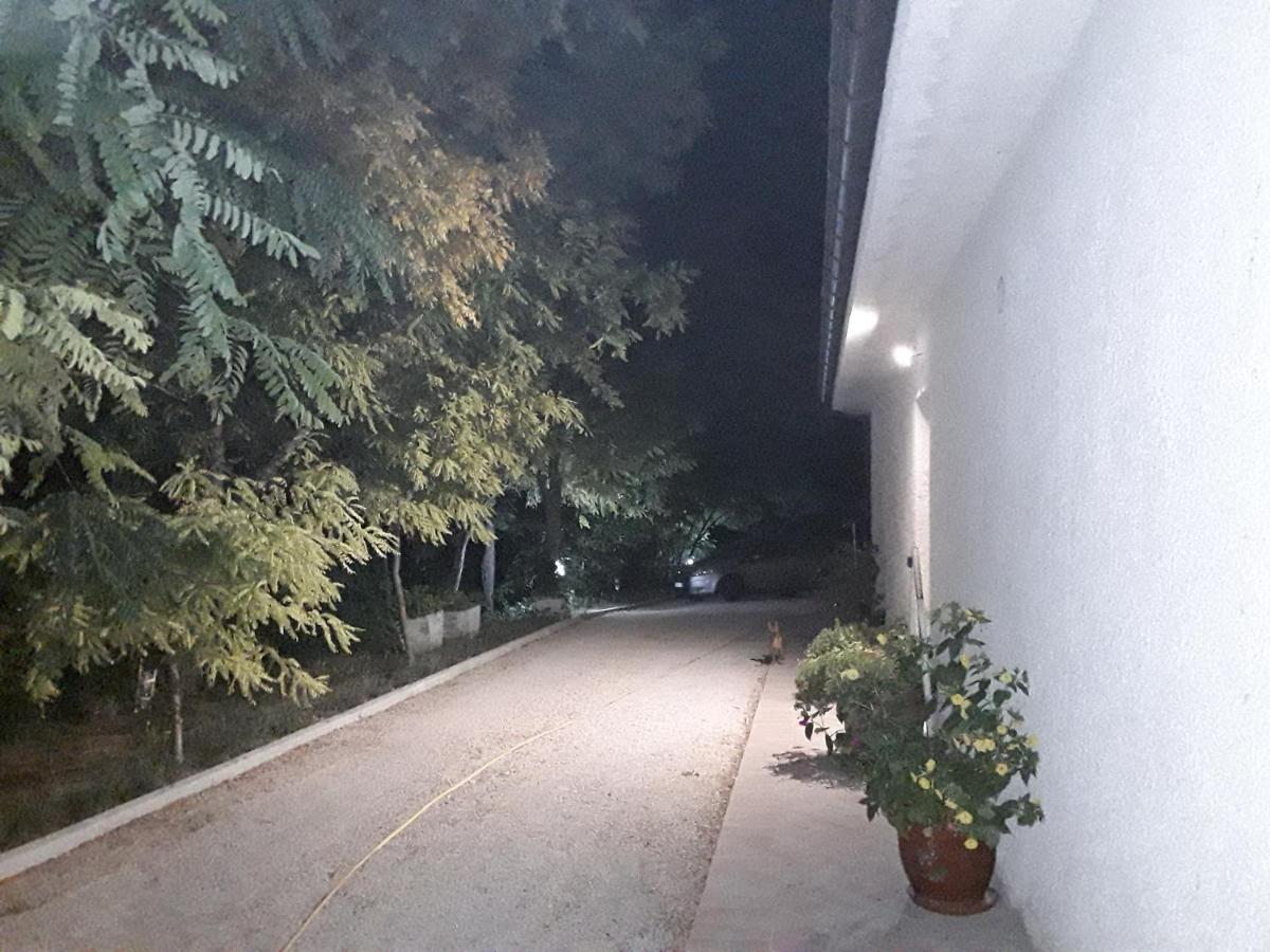 La Casa Nel Verde Larino Εξωτερικό φωτογραφία