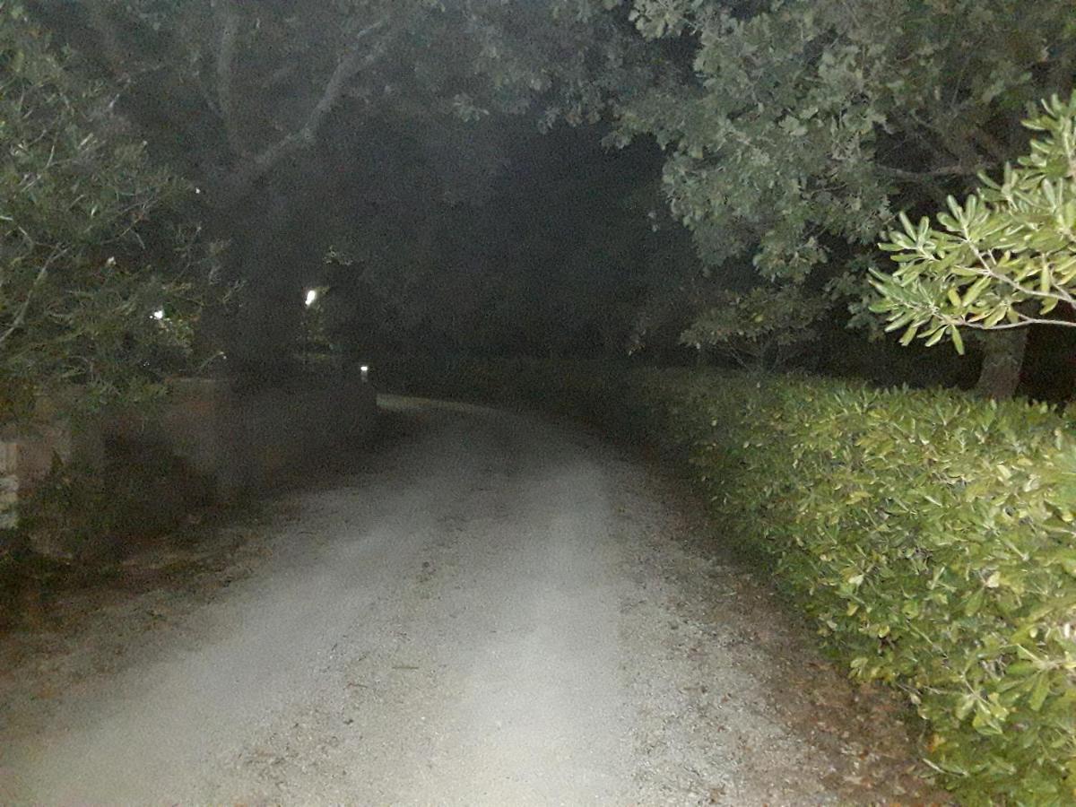 La Casa Nel Verde Larino Εξωτερικό φωτογραφία