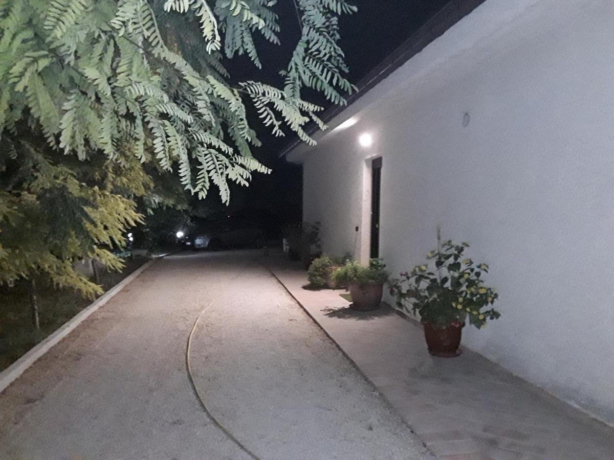 La Casa Nel Verde Larino Εξωτερικό φωτογραφία