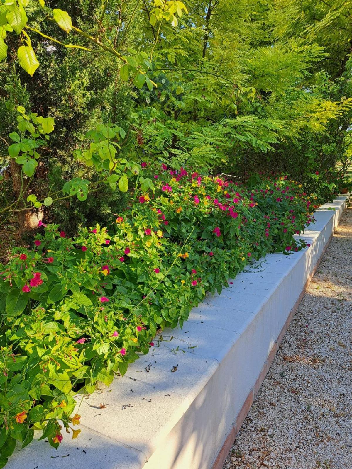 La Casa Nel Verde Larino Εξωτερικό φωτογραφία