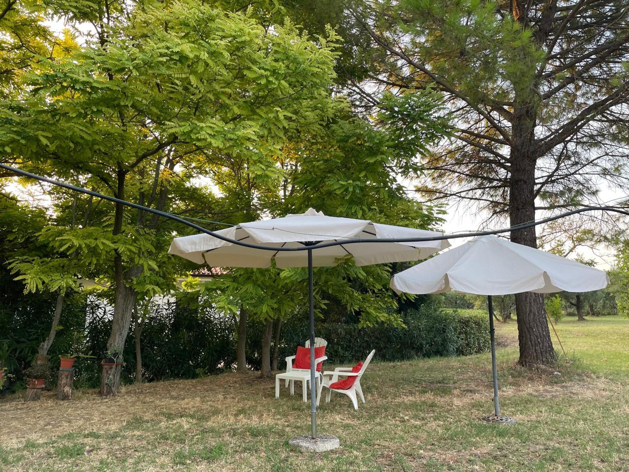 La Casa Nel Verde Larino Εξωτερικό φωτογραφία